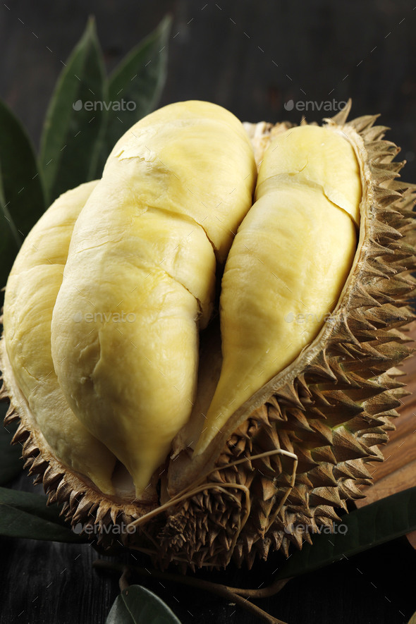 Durian Monthong, King of Fruit from Thailand Stock Photo by ikadapurhangus