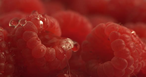 Water dripping onto raspberry in super slow motion.  Shot on Phantom Flex 4K high speed camera.