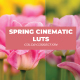 LUTs Spring Cinematic - VideoHive Item for Sale