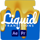 Liquid Transitions - VideoHive Item for Sale