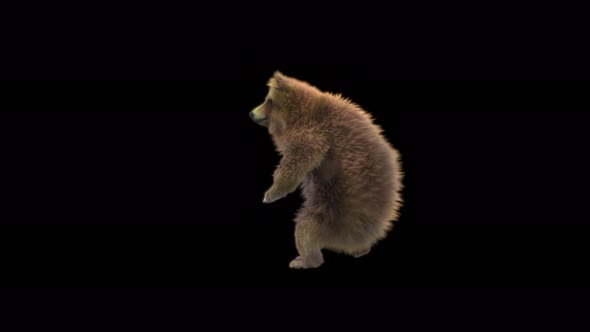 172 Bear Standing Magic Attack 4K alt