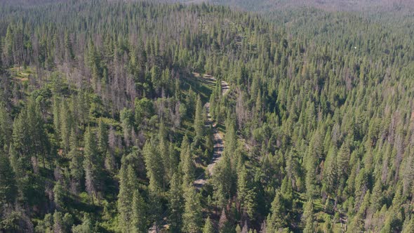 Aerial Drone Shot of Quiet Mountain Road in the California Wilderness (Sierra National Forest, CA)
