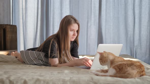 European Girl Working On Laptop in Bed, Young Girl Playing With Cat