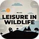 Leisure in Wildlife - VideoHive Item for Sale
