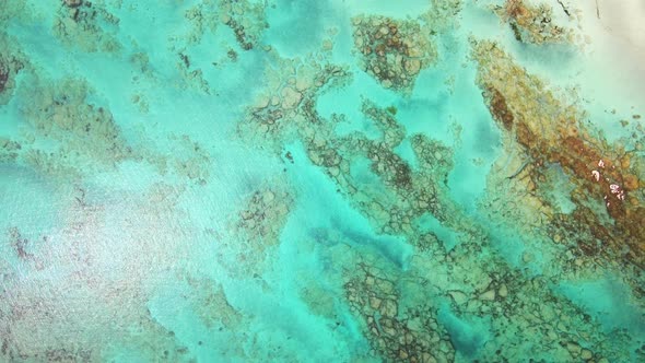 Aerial view of beautiful coral reefs in turquoise color water