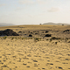Carralejo dunes - PhotoDune Item for Sale