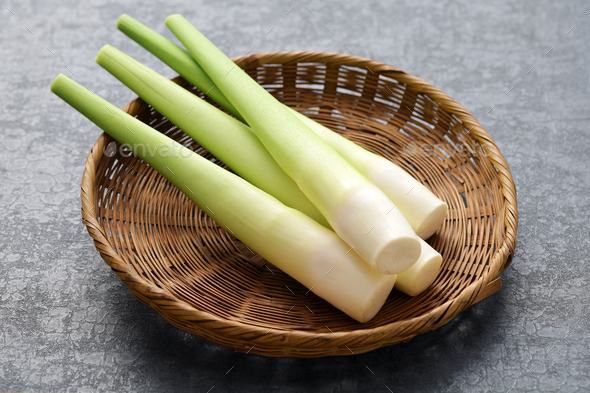 water bamboo shoot, wild rice stem Stock Photo by motghnit | PhotoDune