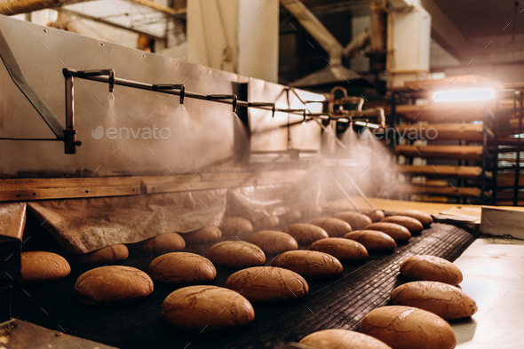 The oven in the bakery. Hot fresh bread leaves the industrial oven in a bakery.