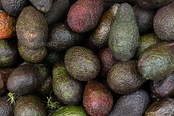 Fresh Tropical Avocado, Each