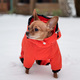 a small dog in an orange winter overall in dog walks in the snow - PhotoDune Item for Sale