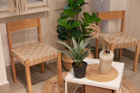 chairs and table in eco interior style design decorated with plants - Stock Photo - Images