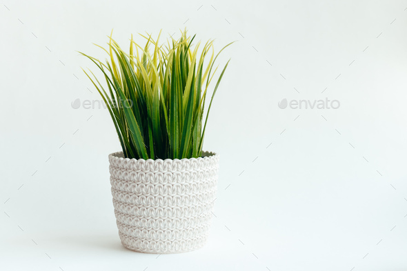 Tree that decorate the room. Pot fake plant isolated on white - Stock Photo - Images