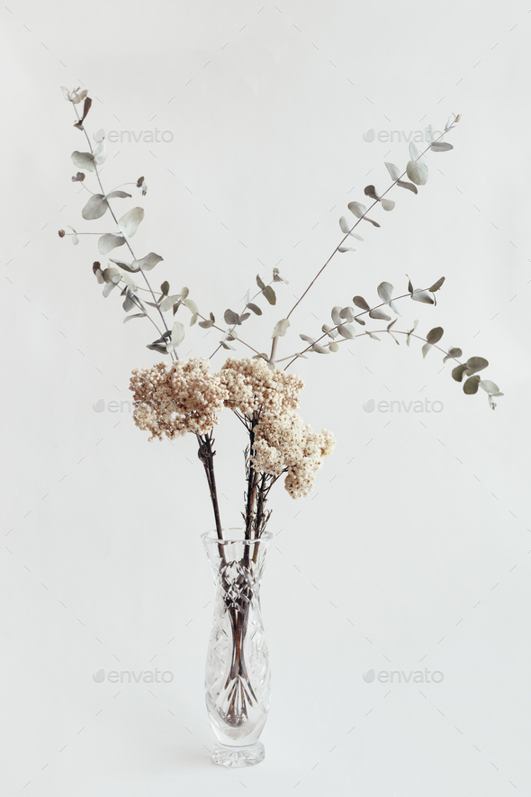 Dried Flowers Natural Eucalyptus and Ozothamnus White in Crystal Vase close-up on white background - Stock Photo - Images