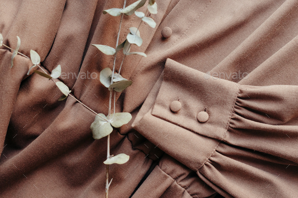 Brown women dress with collar and buttons and dried eucalyptus. Women's stylish autumn or summer out - Stock Photo - Images