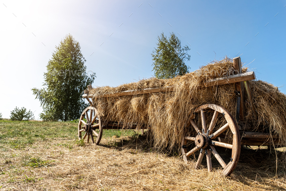 Old vintage rustic wooden ancient cart carriage with hay pile on green grass meadow field against
