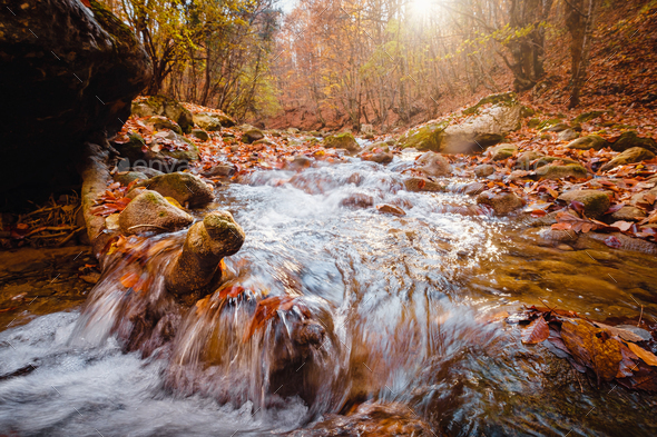 small river on autumn sunny day. - Stock Photo - Images