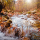 small river on autumn sunny day. - PhotoDune Item for Sale