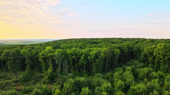 Aerial drone view of nature in Moldova at sunset. Lush forest, wide fields and hills alt