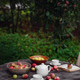 beautiful autumn still life in apple orchard - PhotoDune Item for Sale