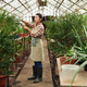 Woman Cutting Plant In Greenhouse - PhotoDune Item for Sale
