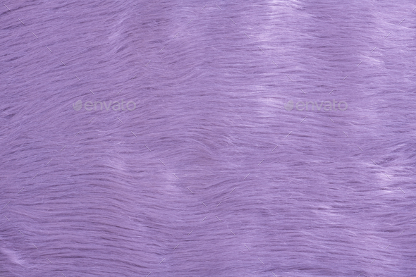 Purple fur texture top view. Purple or lilac sheepskin background. Fur pattern. Lilac shaggy fur - Stock Photo - Images