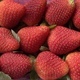 Strawberries (Fragaria), natural background  - PhotoDune Item for Sale
