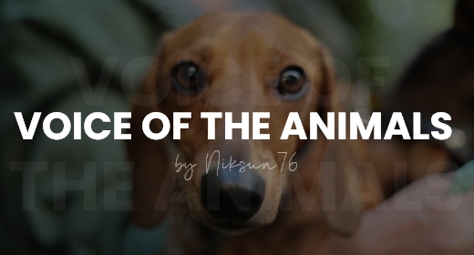 Voice of the animals