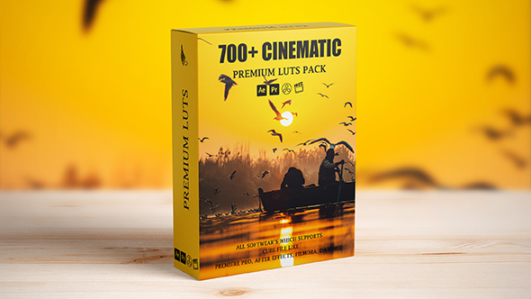 700 Cinematic Film Looks LUT For Premiere Pro, Final Cut Pro, After Effect, DaVinci Resolve