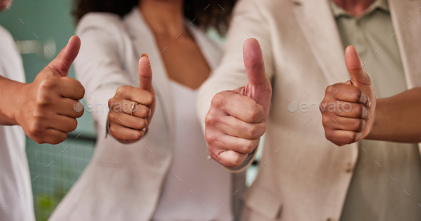 Business people, hands and thumbs up for good job, winning or yes in agreement at the office. Group