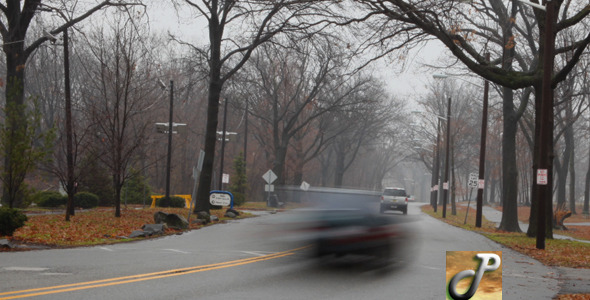 Traffic in the Park Full HD alt