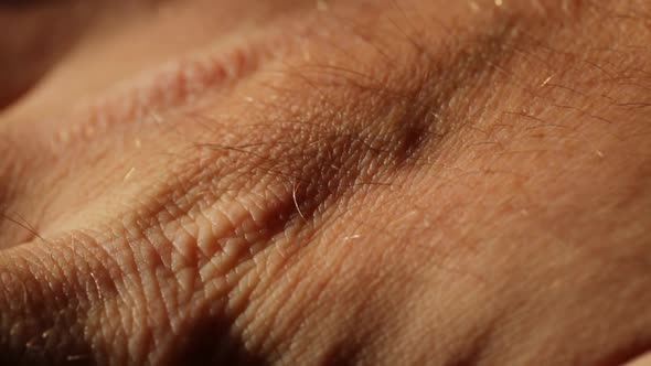 Wrinkled Skin Of A Man’s Hand And Finger Movement