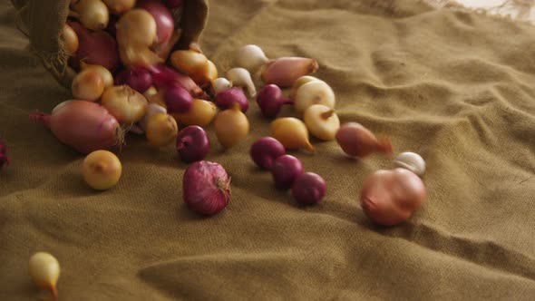 Pouring bag of onions and shallots, slow motion alt