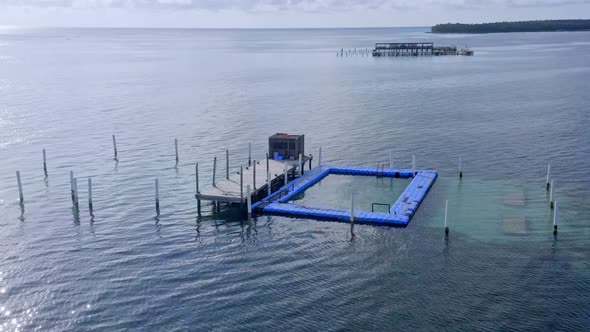 Dolphin Pool Island Park In The Sea In Punta Cana, Dominican Republic - aerial drone shot alt