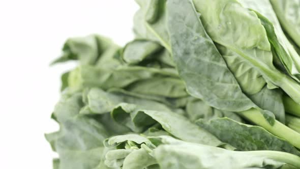 Kale fresh green leaves rotating turning and macro close up on the white background alt