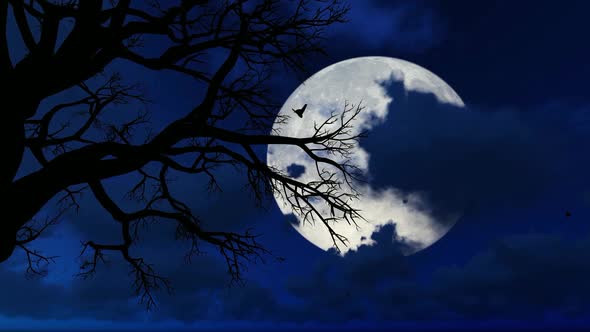 Spooky Tree at Night