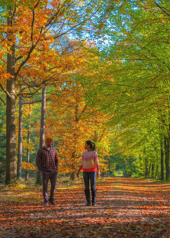 couple man and woman mid age walking in the forest during Autumn season ...