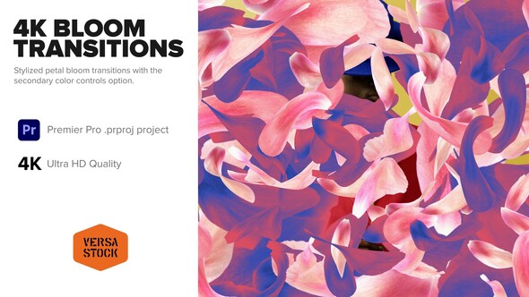 Bloom Transitions 4K