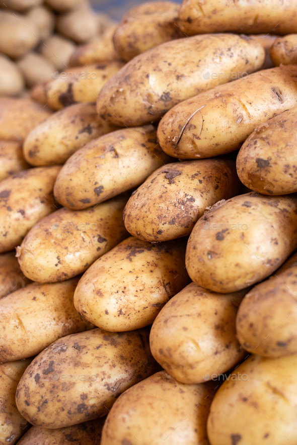 Local Market with Fresh Potatoes.  - Stock Photo - Images