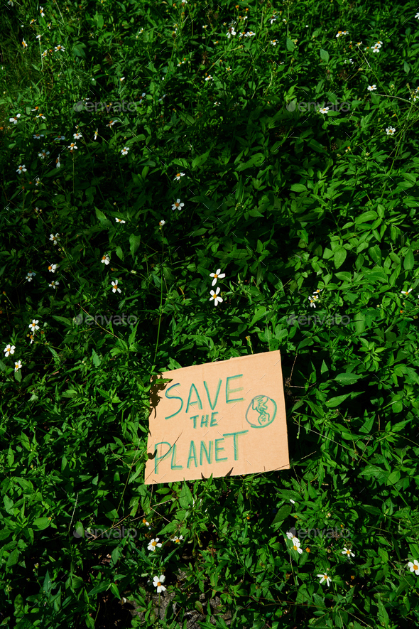 Cardboard sign written Save the planet in the jungle. Concept of environmental conservation