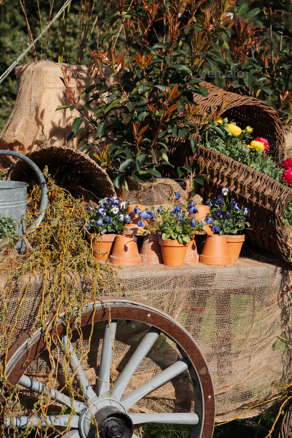 Flowers in crates baskets pots and watering can on cart table