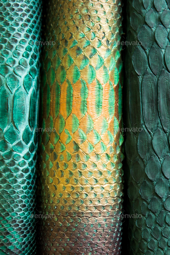 three different tones of trendy green painted snake python skin