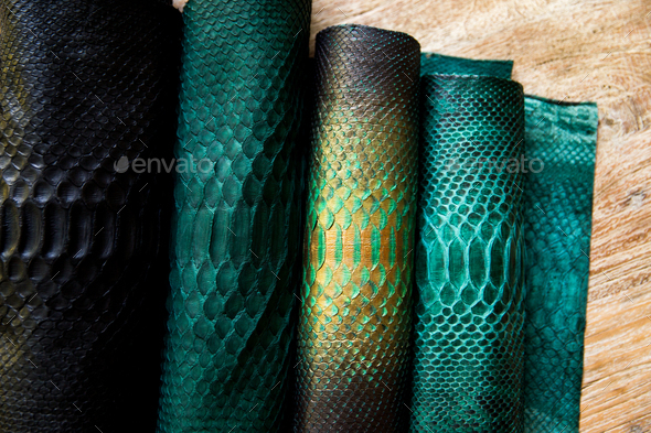 Five different tones of trendy green painted snake python skin surface
