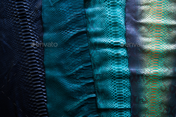 Four different tonFour different tones of trendyes of trendy green painted snake python skin surface