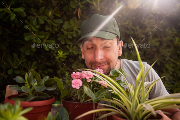 Man gardener in green cap smiles as smells indoor plants. Allergy to flowers. Natural holiday gift.