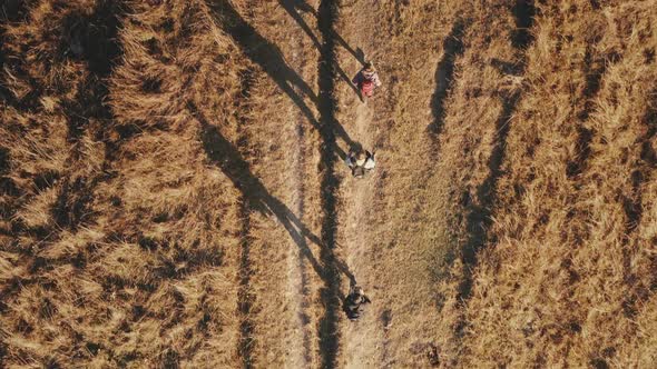 Top Down Closeup Mountaineers Hiking at Burnt Grass Rural Road Aerial alt