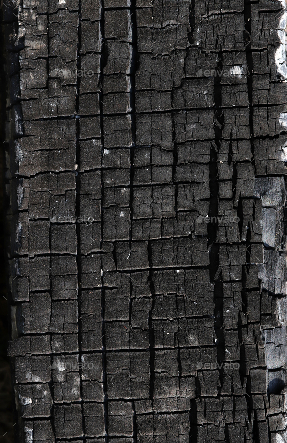 Burned wood texture. Black background Stock Photo by safakc1 | PhotoDune