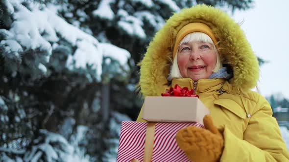 Positive 50s Woman in Yellow Clothes Holds Xmas Present Boxes in Her Hands Over Christmas Tree