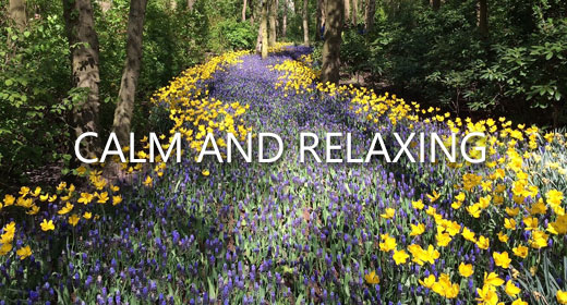 CALM AND RELAXING