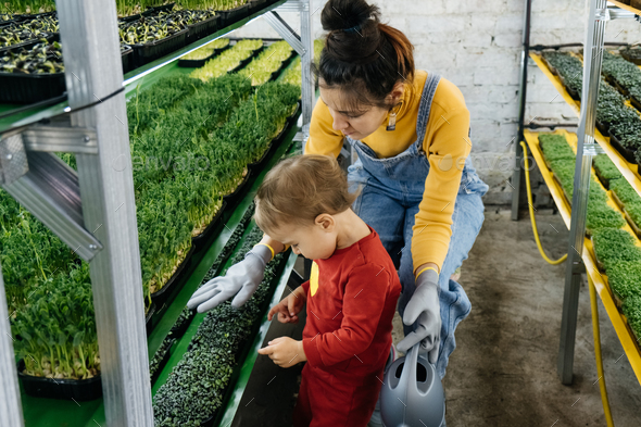 Woman with baby boy working on microgreen indoor farm