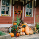 Beautiful pumpkins  in fall - PhotoDune Item for Sale